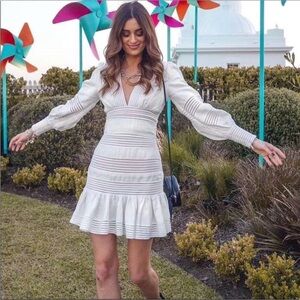 NWT Zimmermann Corsage Linear Mini Dress